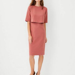 Ann Taylor Overlay Elbow Sleeve Dress